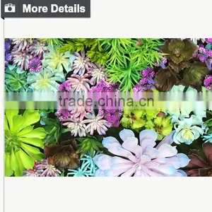 High Quality Artificial Vertical Garden Plants Wall With Sucullents thumbnail-3