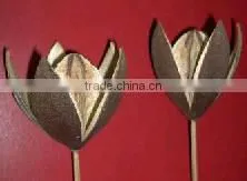Dried Flower-Lily Flower on Stem thumbnail-1