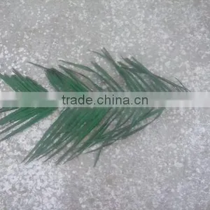 Palm Leaf Preserved thumbnail-1