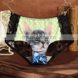 Fancy Cat Underwear Low Waist Sexy Women Panties thumbnail-2