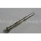 Powder Casting Long Precision Gears Support Phosphate Bronze / PTFE / POM thumbnail-1