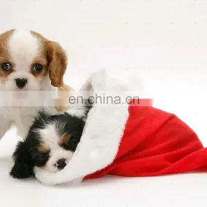 Plush Dog in Christmas Hat Velour / Velvet Christmas Hat / XMAS Hat Santa Claus Hat Children and Adult thumbnail-1