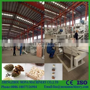 Pine Cone Processing Machine | Pine Cone Nuts Sheller /shelling Machine/ Pinecone Peeling Machine thumbnail-4