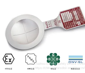 Rupture Disc Device,bursting Disc, thumbnail-1