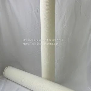 High Flow Rate Water Filter Pftm1-60u-Hfh13 thumbnail-3