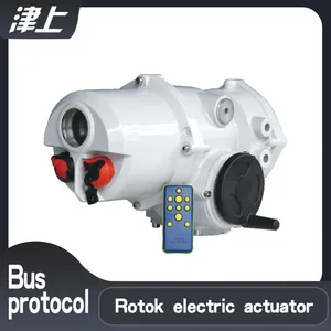 Angular Stroke Electric Actuator IT50 Industrial Bus Type Electric Actuator thumbnail-1