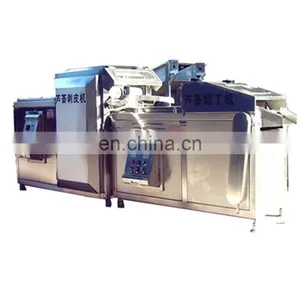 Best Quality Aloe Vera Juice Processing Plant thumbnail-4