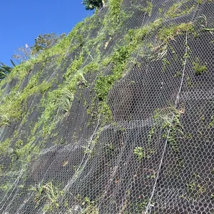 Galvanized Double Twist Steel Mesh Grid Structure Reinforced Mesh for Coastal Rockfall Protection Netting thumbnail-3
