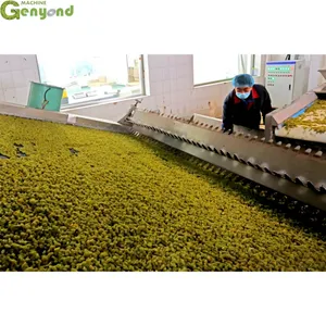 Raisin Drying Machine Hotsell Industrial Raisin Washing and Drying Machinery Dates Cleaning Line thumbnail-1