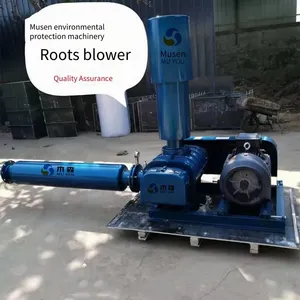 Oxidation Blower, Three-lobe Roots Blower, Powder Material Conveying, Wastewater Treatment Aeration, Aquaculture Oxygenation thumbnail-3