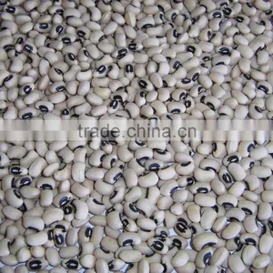 Black Eyed Beans thumbnail-1