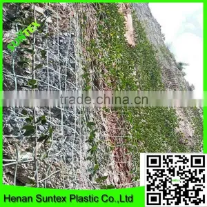 uv Coated Garden Plastic Mesh Tomato Climbing Net thumbnail-1