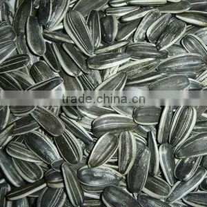 Sunflower Seeds Long Type thumbnail-1