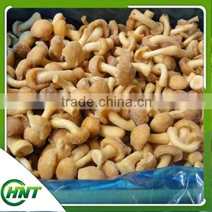 Iqf Frozen Nameko thumbnail-3