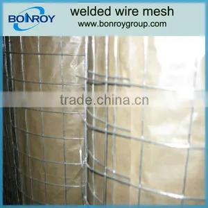 1/2 Inch Plastic Coated Welded Wire Mesh thumbnail-1