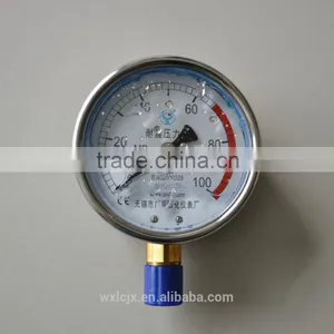 WLQ 70/70,80/50 SERIES HIGH PRESSURE MACHINES Oil-filled Anti Vibration-type Pressure Gauge thumbnail-2