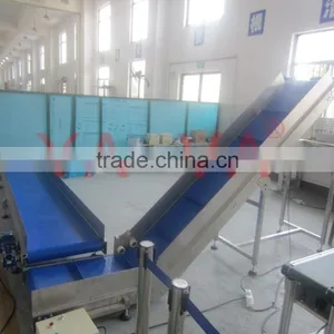 Plastic Inclined Conveyors for Different Industries thumbnail-3