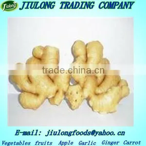 Fresh Ginger Largest Exporters China thumbnail-1