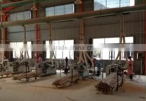 Fujian Xingyuan Industry Co., Ltd. company overview - view 2 thumbnail