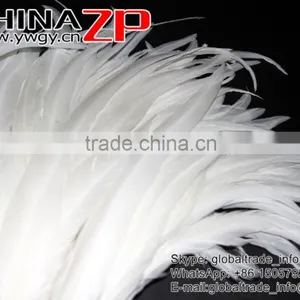 Top Supplier ZPDECOR Bulk Sale 35-40cm Length Natural Bleached White Fully Dyed Rooster Chicken Feathers thumbnail-5