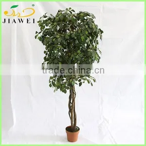 Fake Artificial Money Pant Tree Woode Trunk Home Decoration thumbnail-1