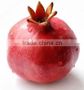 Fresh Pomegranate High Quality Fruits thumbnail-1