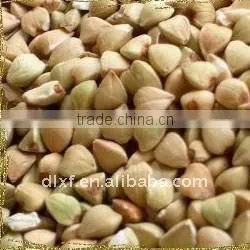 Raw Buckwheat& Raw Buckwheat Kernels& Raw Buckwheat Hull thumbnail-1
