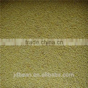 Organic Hulled Glutinous Yellow Broomcorn Millet Hot Sale for Supermarket thumbnail-3