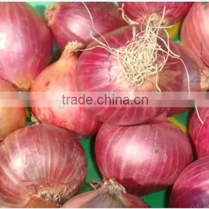 2015 Fresh Red Onion and Yellow Onion From Best Food in Good Price thumbnail-3