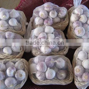 China Solo Garlic in Basket thumbnail-1