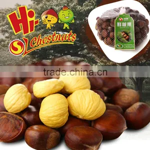Eating Chinese Chestnuts thumbnail-3