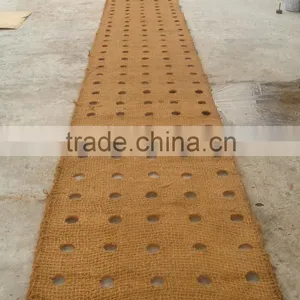 Coir Mat thumbnail-1
