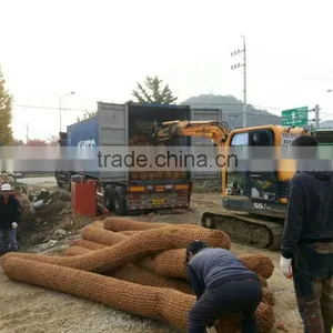 Coir Net thumbnail-2