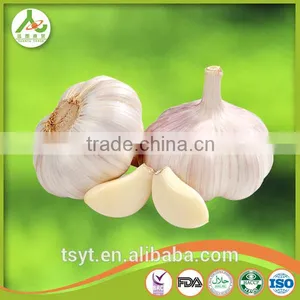 Fresh Style White Garlic From Cold Storage thumbnail-3