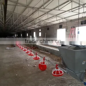 Parent Chicken Automatic Feeders for Female and Male thumbnail-2