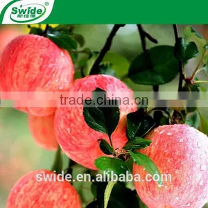 High Potassium Organic Fertilizer thumbnail-2