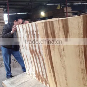 High Quality Sanding Two Sides Core for Making Good Matply/semi-finished Plywood thumbnail-6