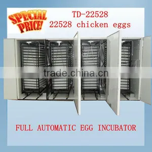 Automatic Egg Incubator 2013 New Design thumbnail-1