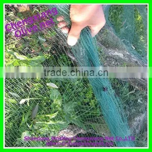 Made in China Olive Net thumbnail-1