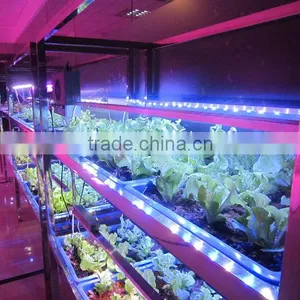 2016 Hot Product Marshydro Waterproof Hydroponic Grow Light Bar LED 23W 46W 92W Greenhouse Grow LED Light Bar thumbnail-2