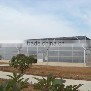 Quickly Delivery Structure Greenhouse for Sale Green House thumbnail-1