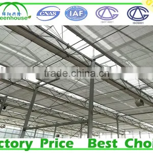 Large Size and Multi Span Agricultural Glass Greenhouse thumbnail-5