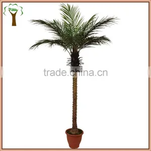 Hot Sale Artificial Phoenix Palm Tree Manufacturer thumbnail-1