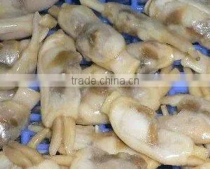 Frozen Seafood/Boiled Mussel Meat thumbnail-1