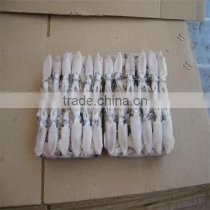 Hot Sale Whole Round Frozen Baby Squid thumbnail-1