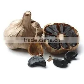 Factary Make Free Sample Black Garlic On Sale thumbnail-6