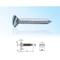 Countersunk Head Tapping Screws With Slot DIN7972 thumbnail-1