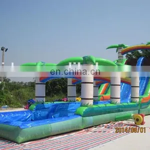 High Quality and Cheap Coconut Palm Water Slide With Pool WS049 thumbnail-1