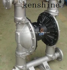 DBY Electric Diaphragm Pump thumbnail-2