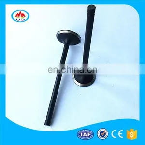 Gas Power Source Forklift Truck Engine Valve for Mitsubishi Engine S3l2 With US GM thumbnail-2